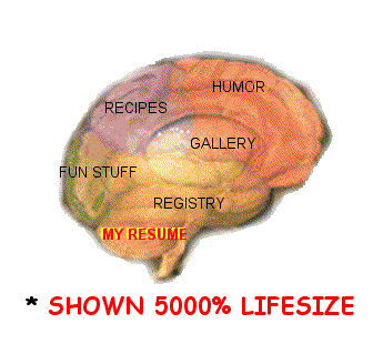 PICTURE OF JOE'S BRAIN