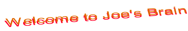 WELCOME TO JOE'S BRAIN